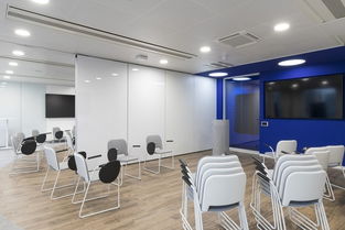 分析软件开发商SAS巴黎办事处办公空间设计